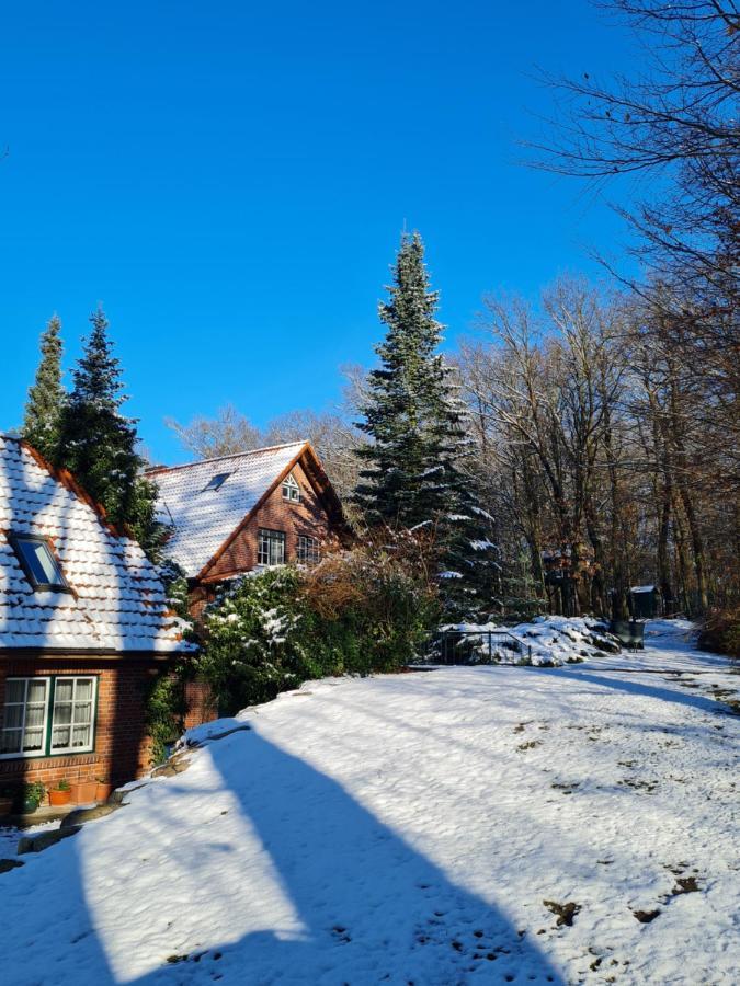 Hébergement de vacances 4 Sterne-haus Am Waren (Mueritz)